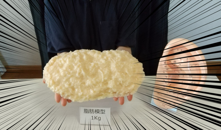 耳つぼダイエット 1キロ痩せる