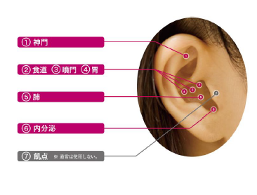 耳つぼの位置